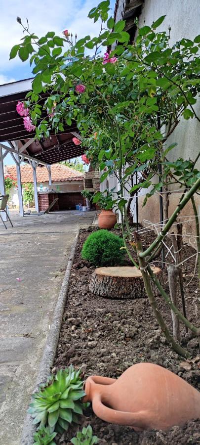 Guest House Palazzo Byala  Exterior photo