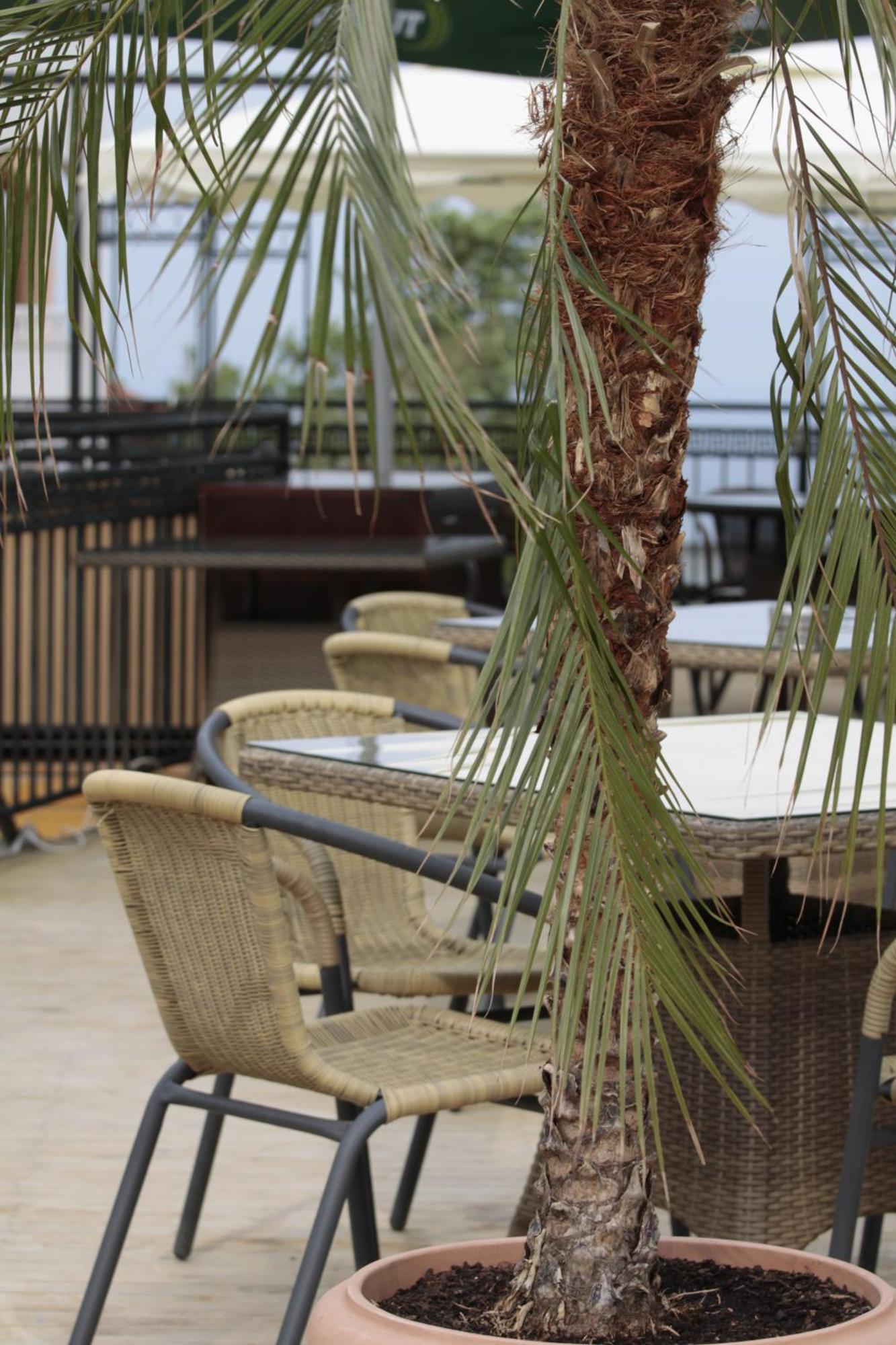 Guest House Palazzo Byala  Exterior photo