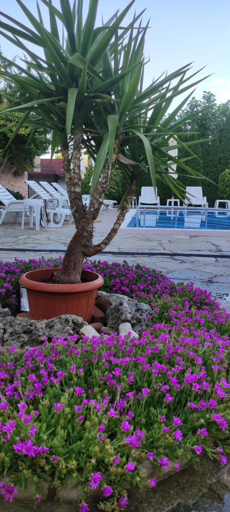Guest House Palazzo Byala  Exterior photo